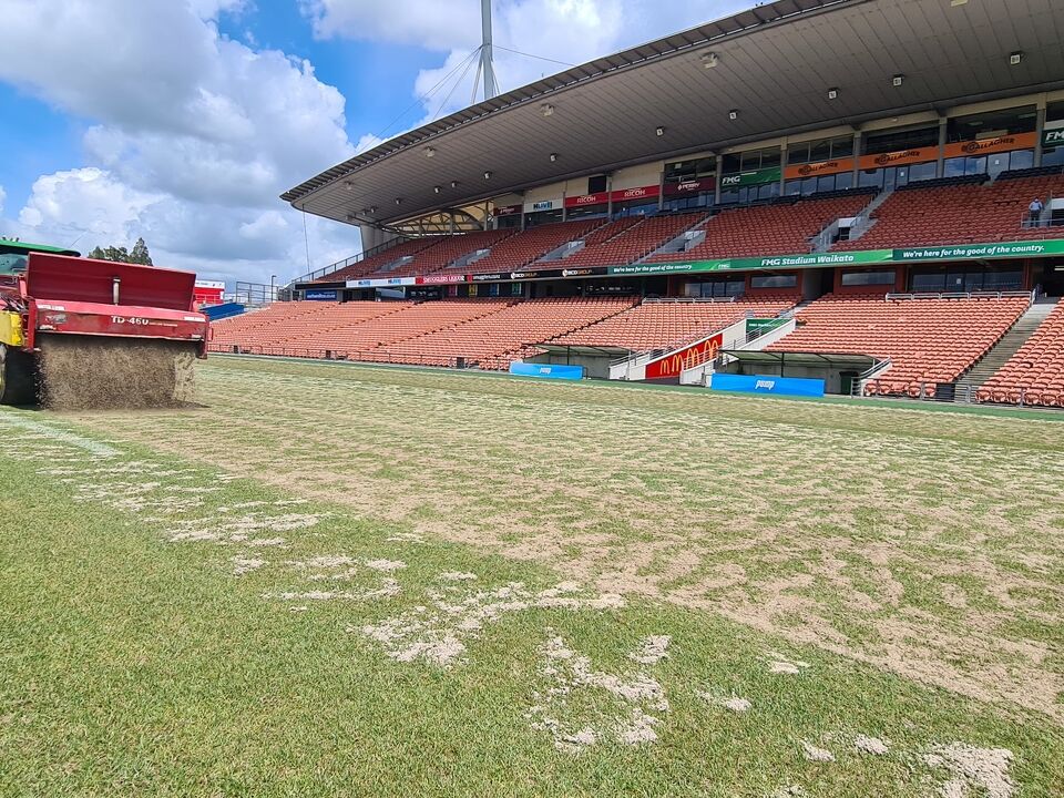 Sports Turf