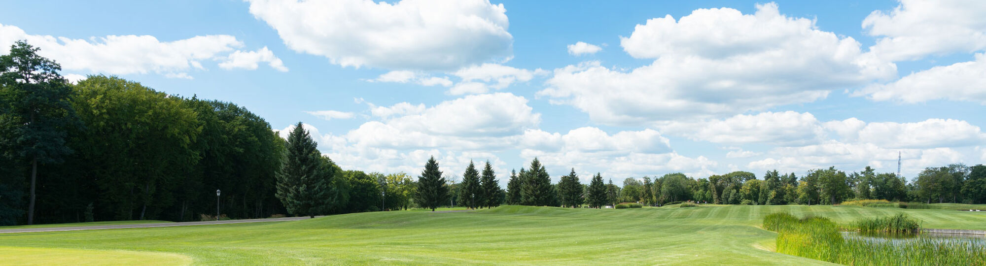 Turf Video Thumbnail